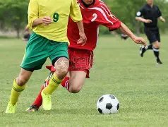 费助力显著,助曼联达成,进球及,球探体育首页,即时比分,比分直播,足球比分直播,球探官网