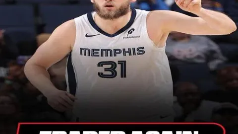 霍芬海姆对阵勒沃库森：德甲第3轮焦点之战